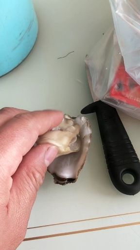 山东乳山牡蛎 海蛎批发