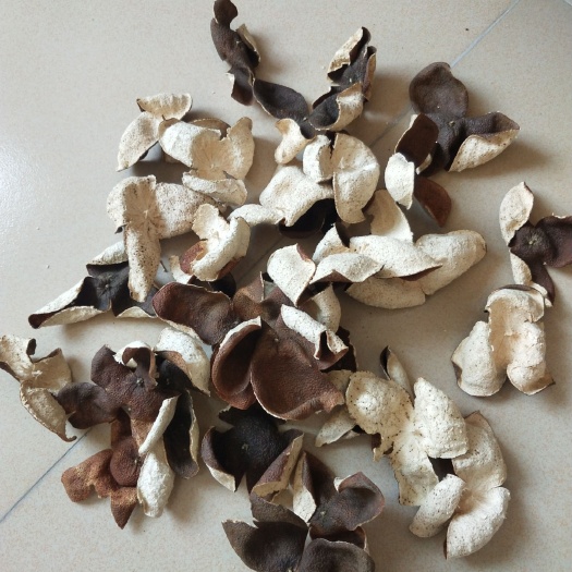 龙门县龙门广陈皮  出售陈皮