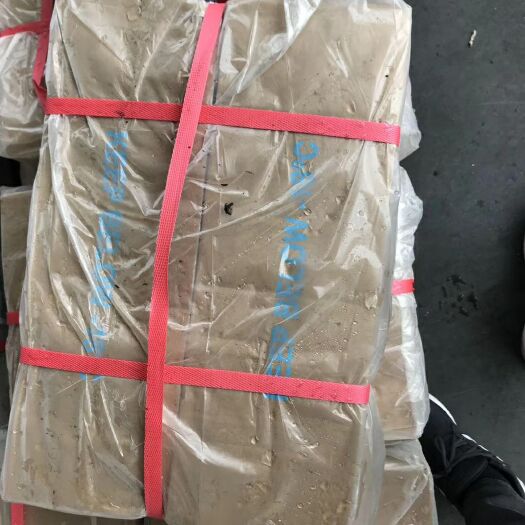 福州马来目鱼 目鱼