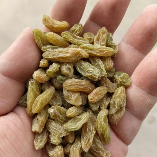 吐鲁番绿宝石葡萄干 绿宝石