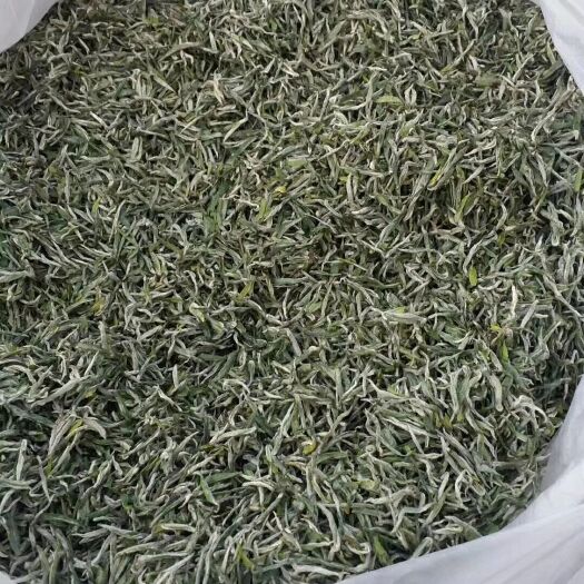 石门县翠芽 特级 散装