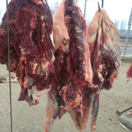 贺兰县 自家养殖毛驴肉
