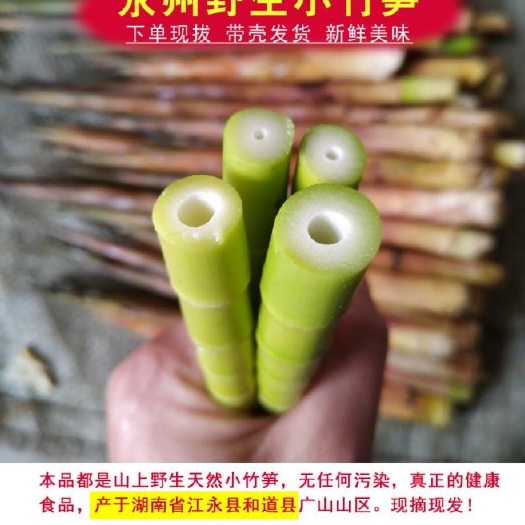 江华县甜竹笋，小竹笋   每天有充足的新鲜竹笋供应，欢迎过来采购