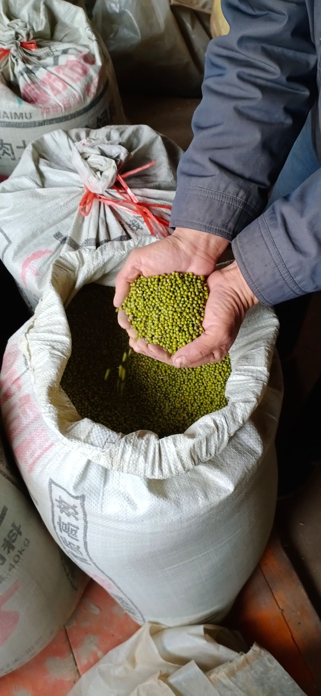 明绿豆 散装 1等品