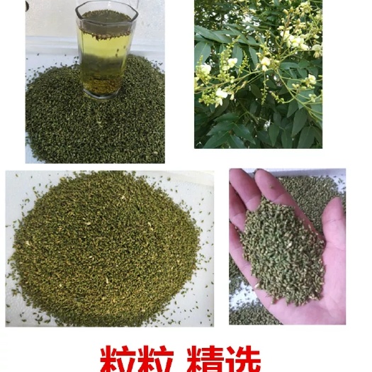 成安县槐米花茶 槐米