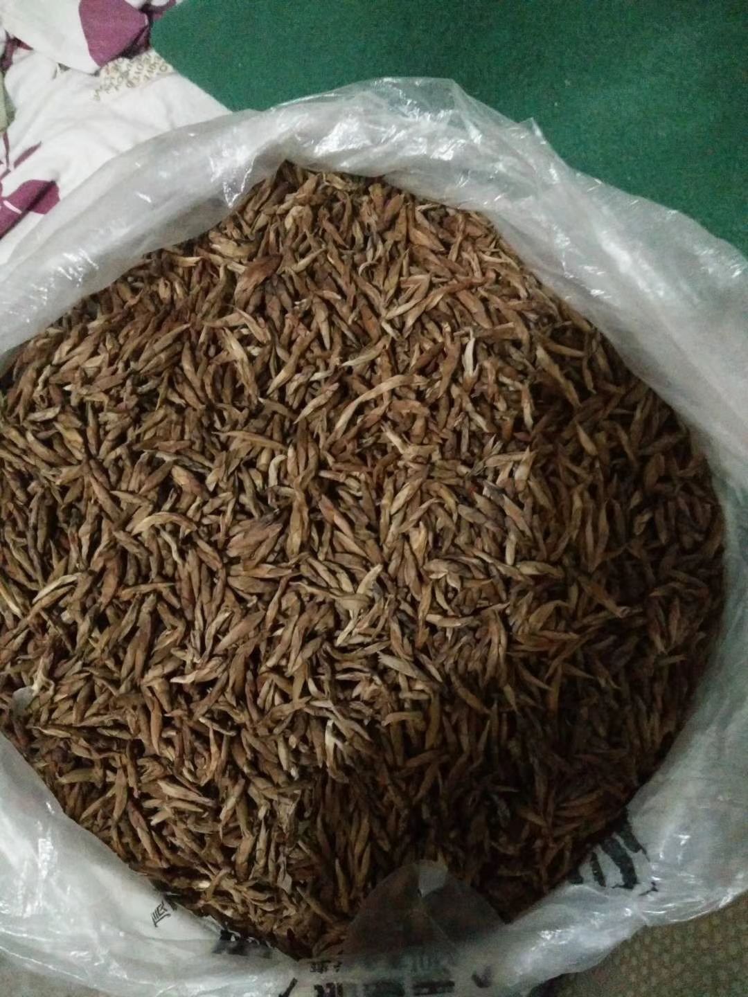 茅岩莓茶 老鹰茶