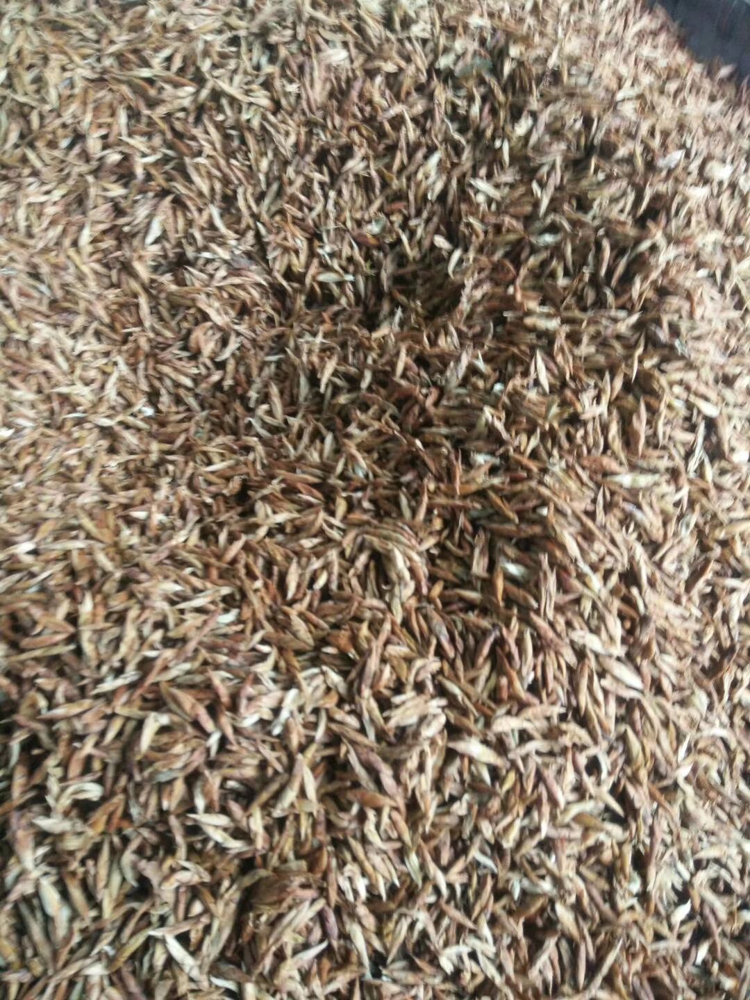 茅岩莓茶 老鹰茶