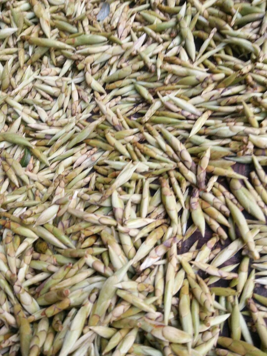 茅岩莓茶 老鹰茶