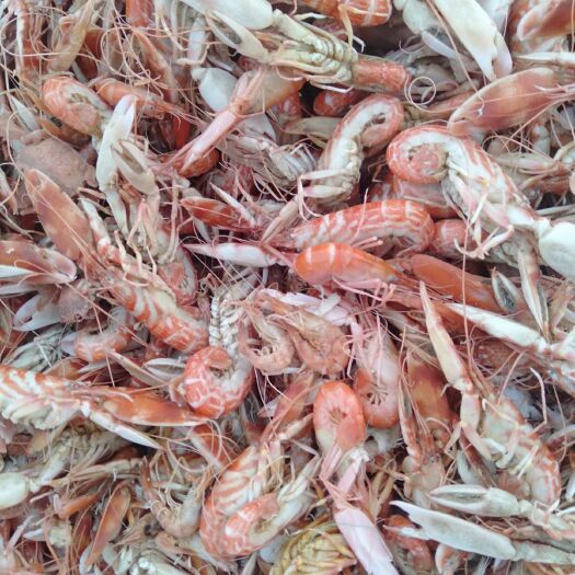 滨州 龙虾，新货源，低盐，味美，味鲜