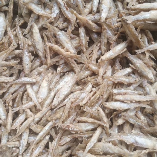 上思县白条鱼 油炸面粉小白肖鱼