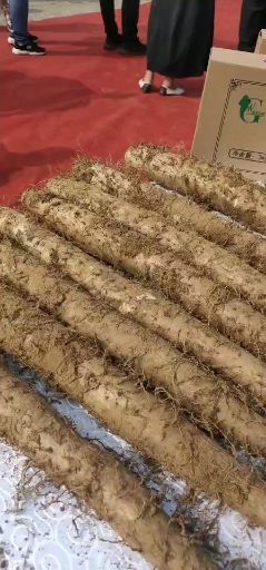 海城市 产地直销白玉山药，长年供货，欢迎全国各地来采购！