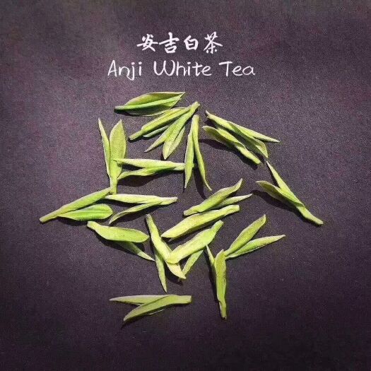 安吉县2022年安吉白茶新茶明前金典茶叶