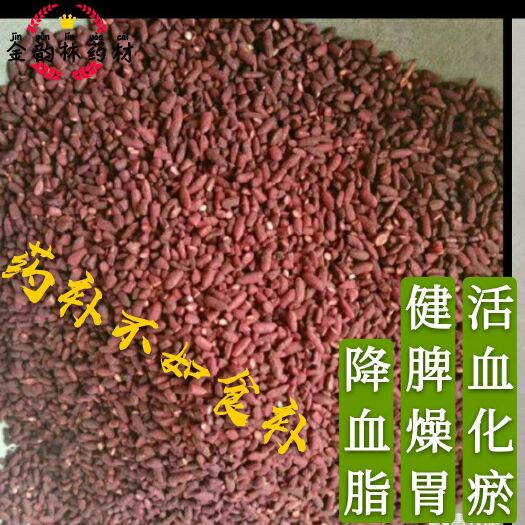 安国市赤曲红米平价直销 无硫 代打粉 （药用） 袋装 包邮