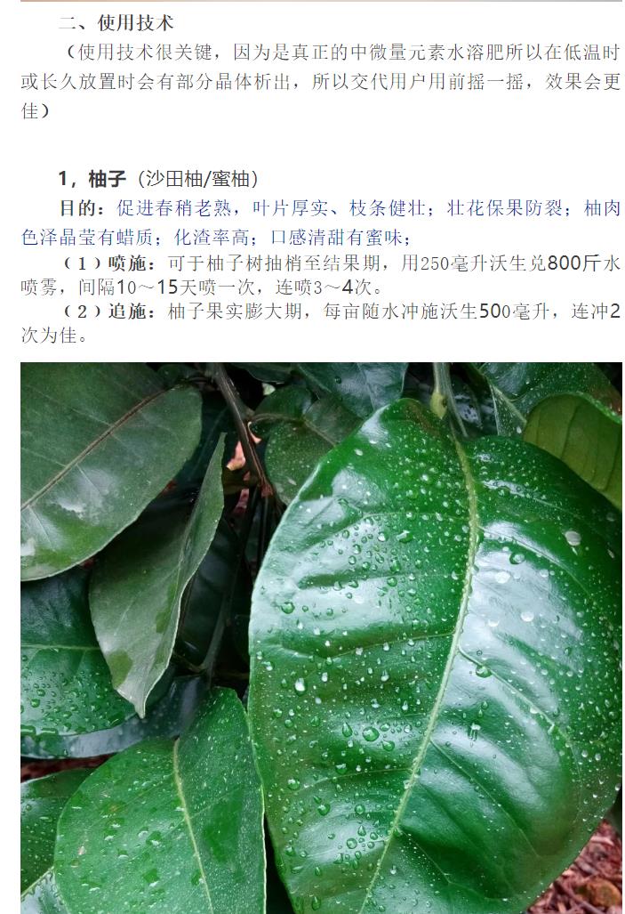  德国拜耳 沃生钙 果树花卉蔬菜中量元素水溶肥料叶面肥钙肥