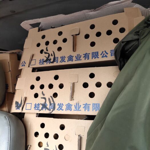 重庆市 各类鸡苗，鸡苗量大从优
