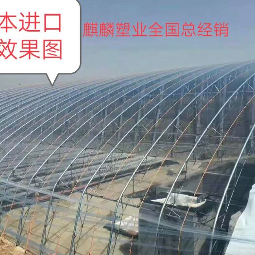 寿光市PO薄膜 日本PO膜
