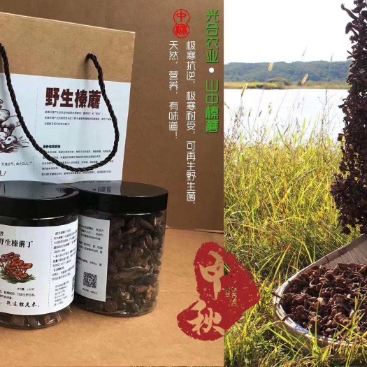 鄂伦春旗蘑菇 榛蘑
