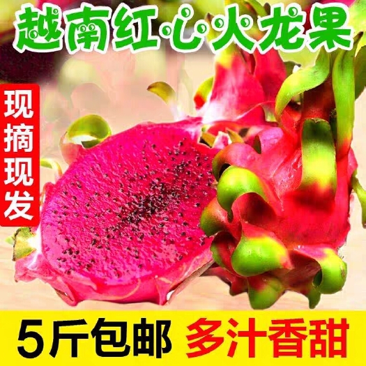 昆明现摘红心火龙果新鲜水果热带特产5斤包邮大当季时令红肉整箱批
