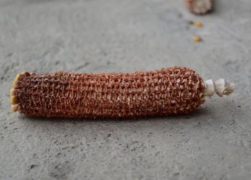 中阳县 玉米芯，杂质少