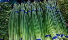 邳州市 邳州蒜苔上市，欢迎各位砸单