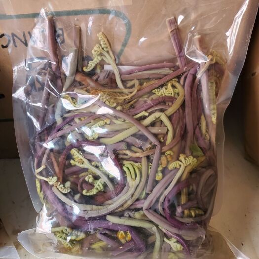  真空包装蕨菜