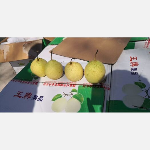 魏县古有孔融让梨，鸭梨对肺部有很好的作用清凉甜爽，润肺