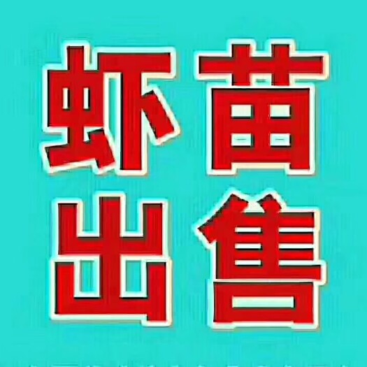 华容县龙虾苗  岳阳本地优质虾苗