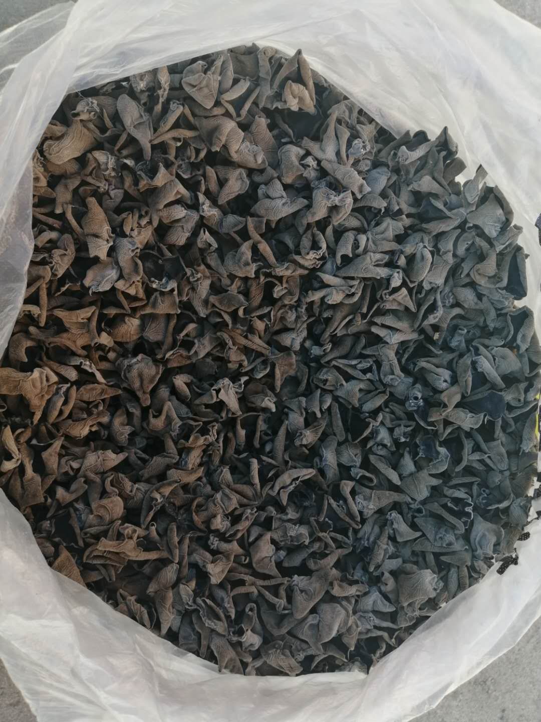  五道沟村种植东北黑木耳，品质好价格优感谢您助力扶贫前来惠顾。
