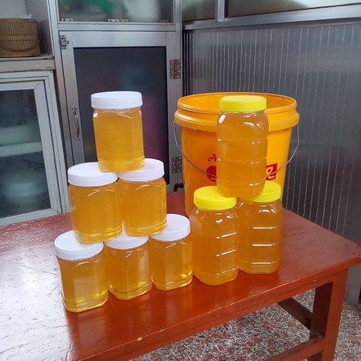 潍坊 纯油菜蜂蜜