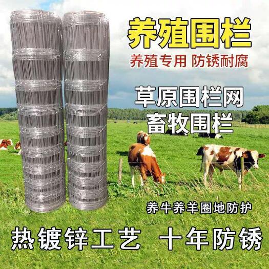 安平县牛栏网热镀锌丝网围栏网养羊养牛果园防护圈山圈地草原网养殖网