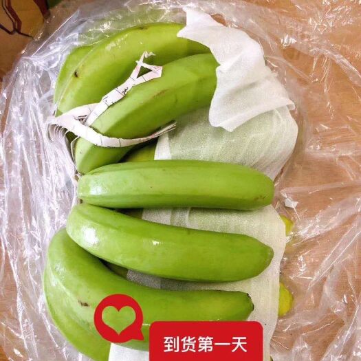 景洪市云南威尼斯香蕉 云南威尼斯香焦