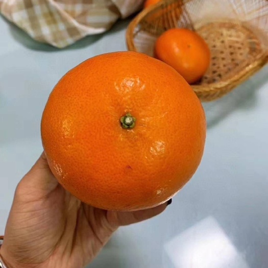  茂谷柑