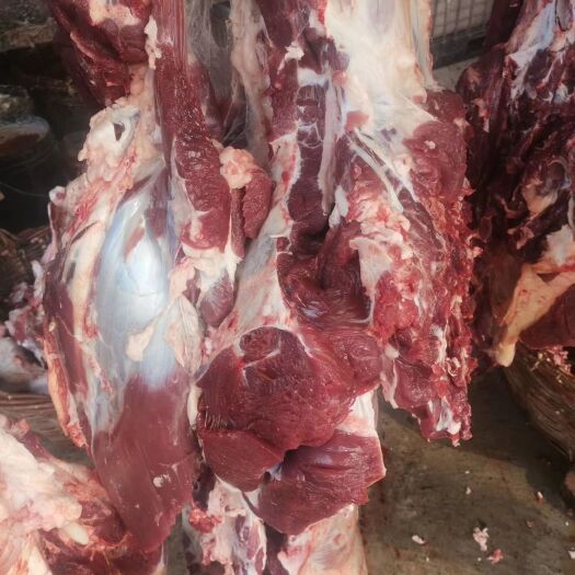 和林县牛肉类 生肉