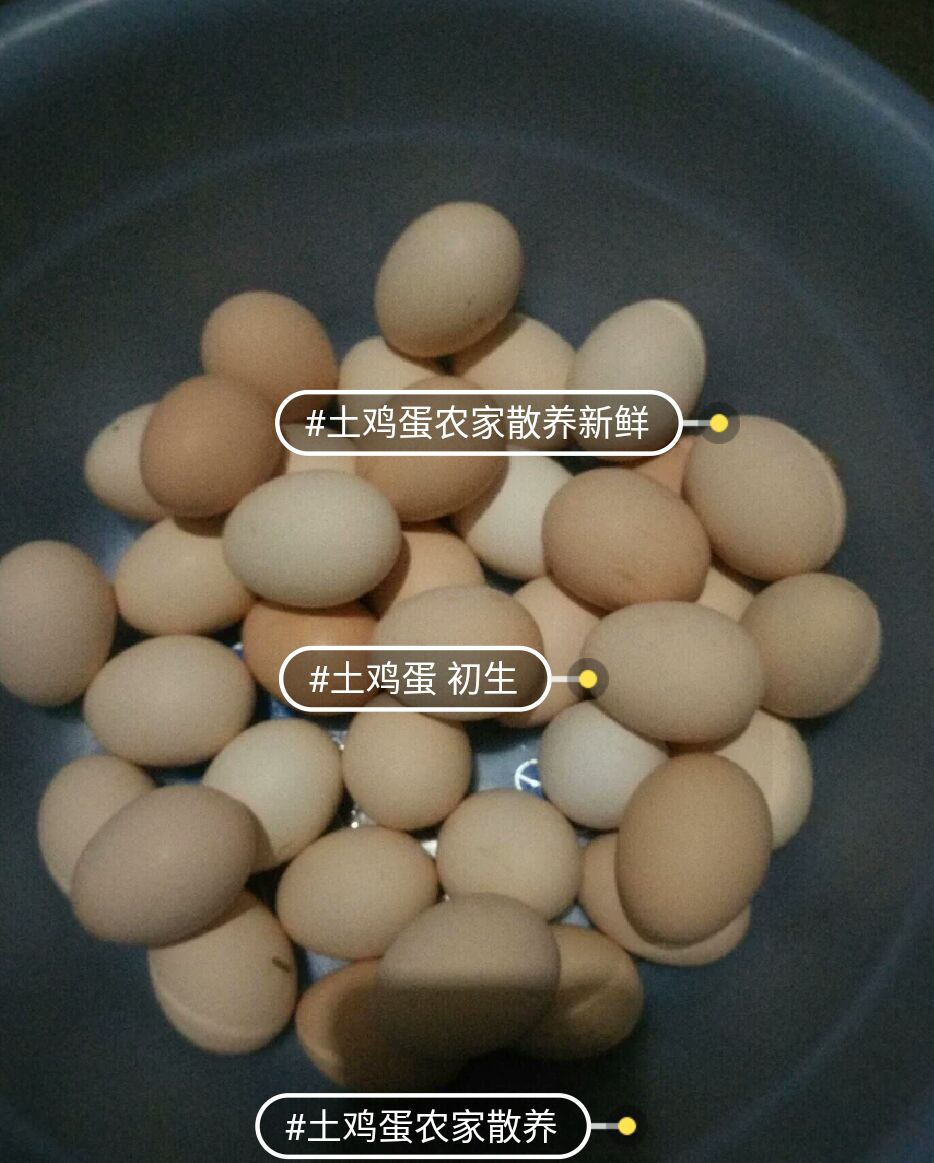 土鸡蛋0.8元一个，40个包邮