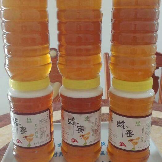 遂溪县土蜂蜜 农家自养的小蜜蜂（中蜂），保证纯正天然！