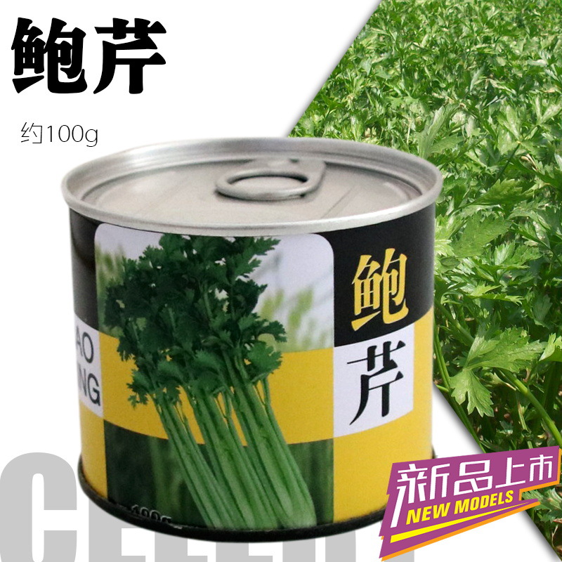 邯郸 鲍芹种子芹菜种子100克 无筋脆品种 抗病高产 口感好