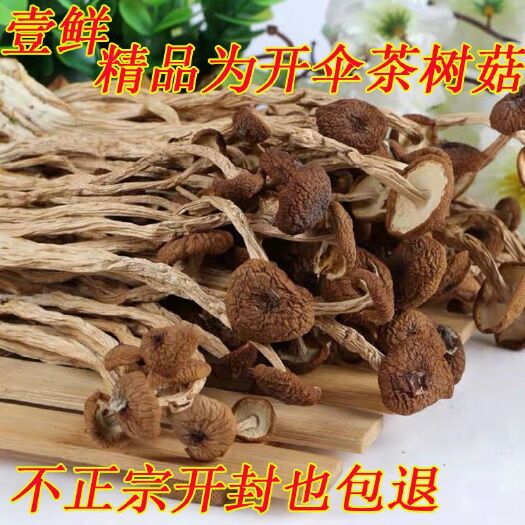 黎川县2020特级不开伞茶树菇干货批发江西农家茶树菇10斤起包邮