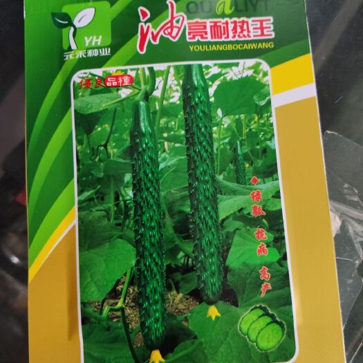 黄瓜种子 油亮耐热王 绿瓤绿肉抗病高产瓜色深杂交一代