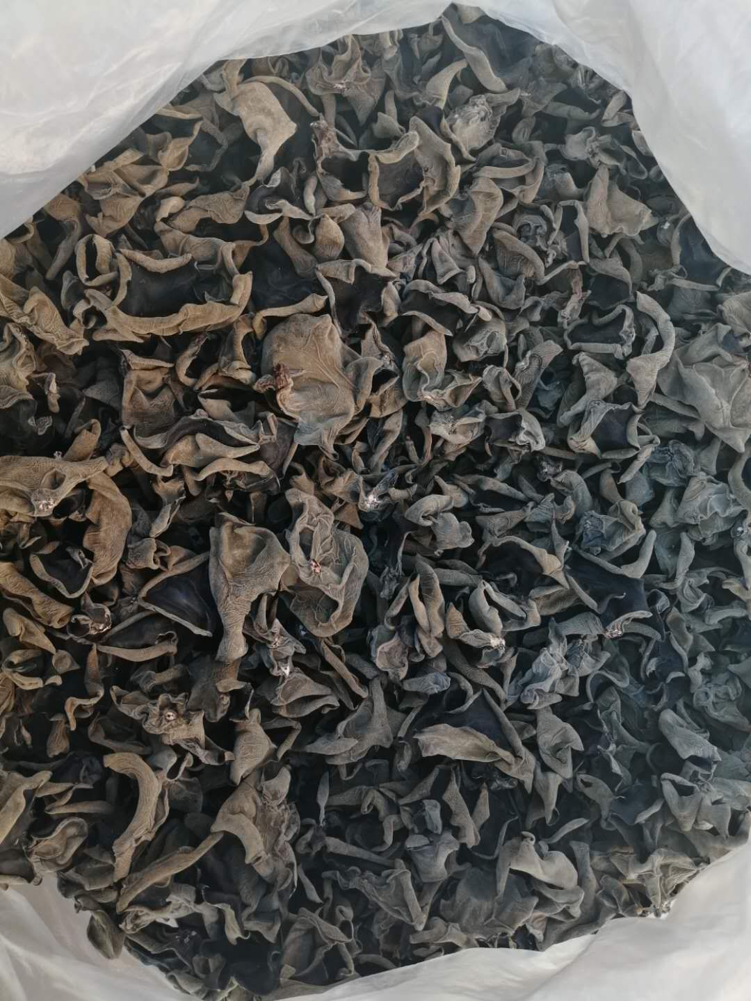  五道沟村种植东北黑木耳，品质好价格优感谢您助力扶贫前来惠顾。