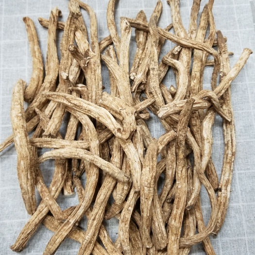 广州西藏特选党参