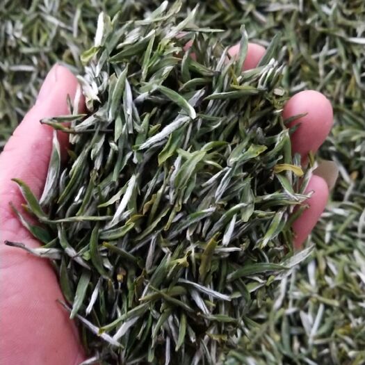 利川市高山绿茶 厂家直销茶