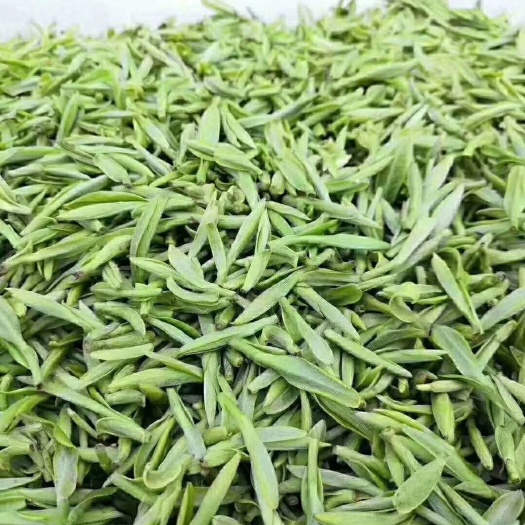 霍山县明前茶 霍山黄牙，清明前，量少。假一赔十，外面买不到的黄牙