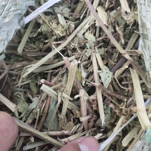 新蔡县小麦秸秆 优质花生结秆，品质担保，无尘无霉