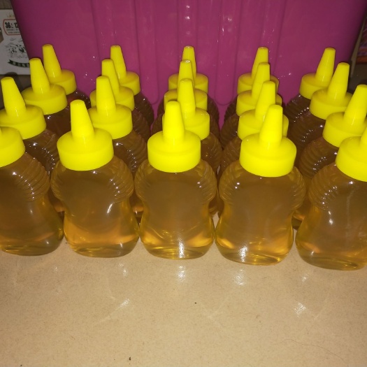 英德市 出售蜜蜂种群中蜂，蜂蜜，蜂蜜