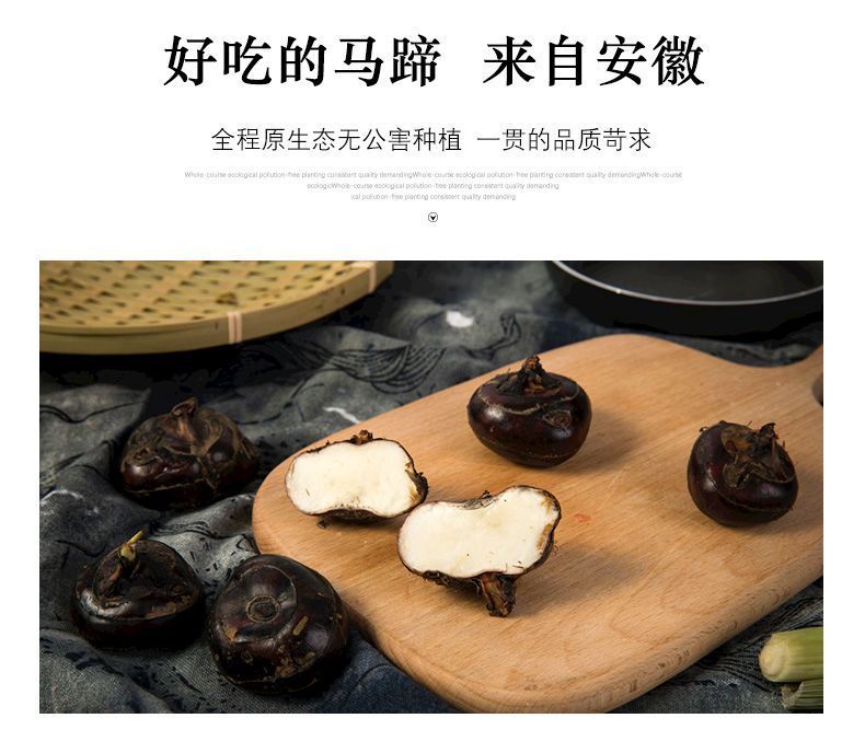 毛马蹄  安徽新鲜马蹄荸荠鲜甜脆可口多汁地栗农家水果蔬菜