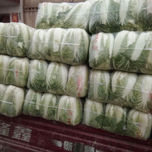 张掖 大棚娃娃娃菜