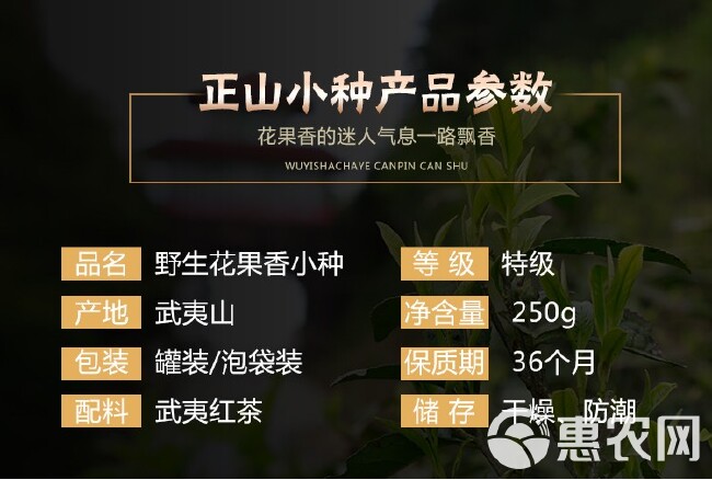  武夷红茶 花果香正山小种 花香浓郁 回甘持久250g/提