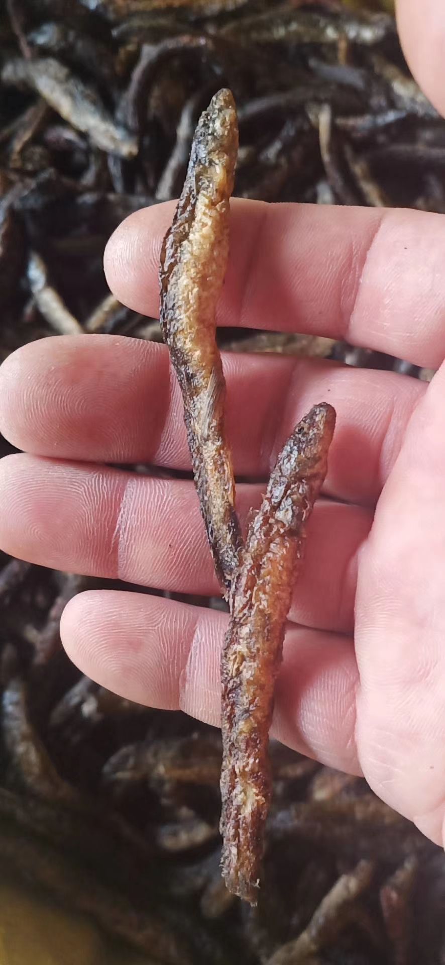 泥鳅干，油炸泥鳅干