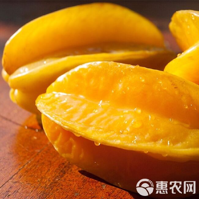 【精品】福建漳州杨桃应季水果低糖水果新鲜水果3斤5斤送酸梅
