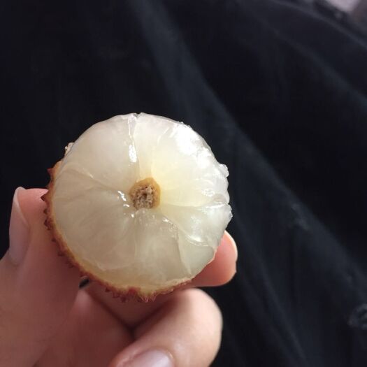 高州市 桂味荔枝  中国荔枝之乡1件代发荔枝鲜果茂名高州特产桂味荔枝